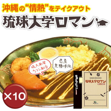 【送料無料】沖縄黒豚カレー　琉球大学ロマン辛口　[応用課程] 10箱セット｜スープカレー｜キーマカレー｜琉球大学オリジナル［食べ物＞沖縄料理＞ご当地カレー］