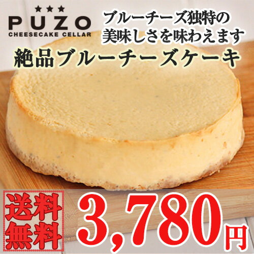 PUZO ʥ֥롼Υ ڻ ե £ʪ