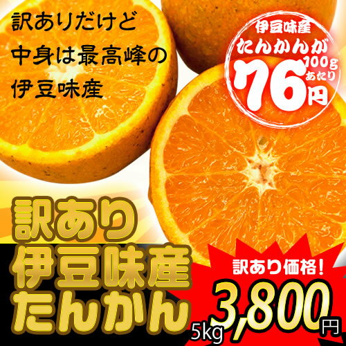 沖縄県伊豆味産 たんかん 訳あり 5kg