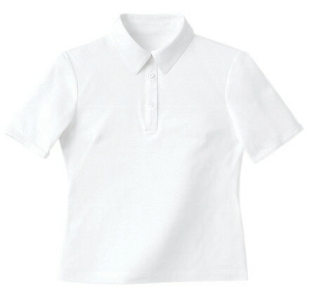 ハネクトーン半袖きれいポロ（天竺） ベージュ（WP301）