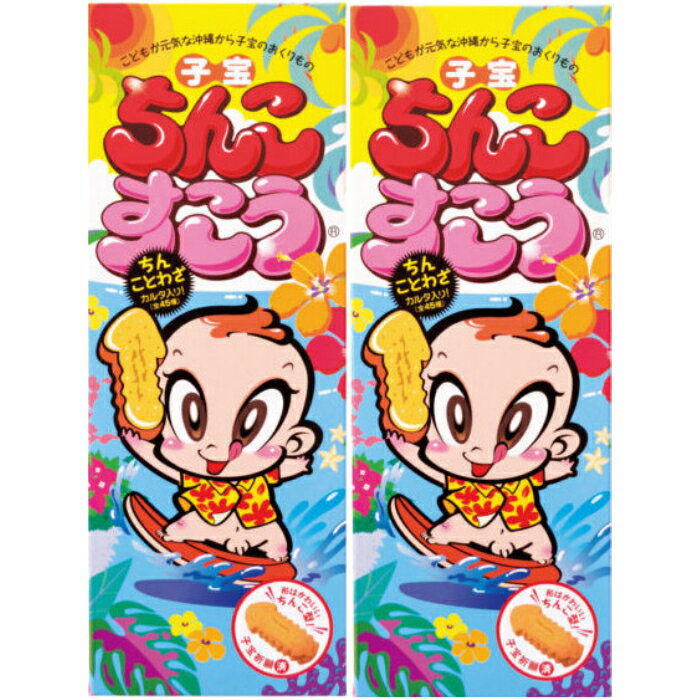 沖縄 お土産 ちんこすこう プレーン味2箱セット お菓子 食べ物 おつまみ ばらまき 女子ウケ 限定 ちんすこう 沖縄土産 沖縄お土産 沖縄雑貨