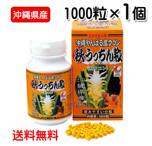 秋ウコン粒 沖縄県産 秋うっちん粒 1000粒入り 送料無料 ウコン うっちん沖縄