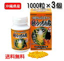 秋ウコン粒 沖縄県産 秋うっちん粒 1000粒入り×3個 送料無料 ウコン うっちん沖縄