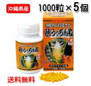 秋ウコン粒 沖縄県産 秋うっちん粒 1000粒入り×5個 送料無料 ウコン うっちん沖縄