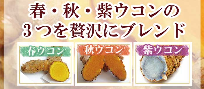 沖縄県北部産　やんばる毎日がウコン粉末 袋入り 100g×3袋 （秋ウコン・春ウコン・紫ウコン 3種ウコン）（メール便発送 送料無料）クルクミン ミネラル 3