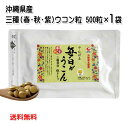 沖縄県北部産 やんばる毎日がウコン粒 500粒 袋入り(秋ウコン・春ウコン・紫ウコン 3種ウコン)(メール便発送 送料無料)クルクミン ミネラル