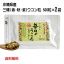 沖縄県北部産 やんばる毎日がウコン粒 袋入り 500粒×2袋 (秋ウコン・春ウコン・紫ウコン 3種ウコン)(メール便発送 送料無料)クルクミン ミネラル