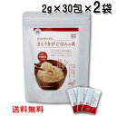 さとうきびごはんの素 2g×30包×2袋 沖縄県産サトウキビ100%使用!不溶性・水溶性の食物繊維たっぷり サトウキビ ポスト投函お届け送料無料