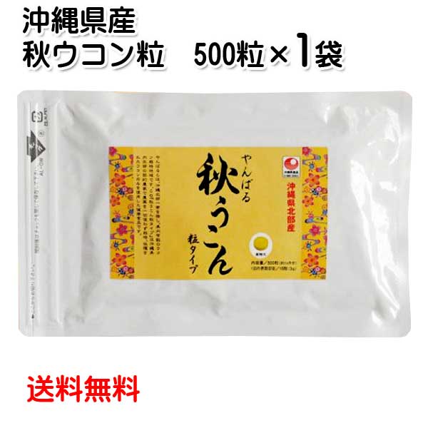 沖縄県北部産　やんばる秋ウコン粒 500粒 袋入り（メール便発送 送料無料）クルクミン