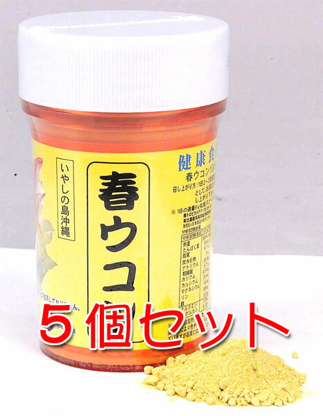 ウコン サプリ 沖縄 春ウコン粉 容器 100g×5個セット 粉末タイプ クルクミン 健康食品 沖縄県産 春うこん 送料無料 比嘉製茶