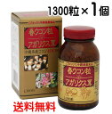 春ウコン粒＋アガリクス茸 1300粒×1個 〔送料無料〕 ウコン 春ウコン 秋ウコン 沖縄 健康食品 国産 錠剤 金秀バイオ