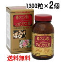 春ウコン粒＋アガリクス茸 1300粒×2個 〔送料無料〕 ウコン 春ウコン 秋ウコン 沖縄 健康食品 国産 錠剤 金秀バイオ