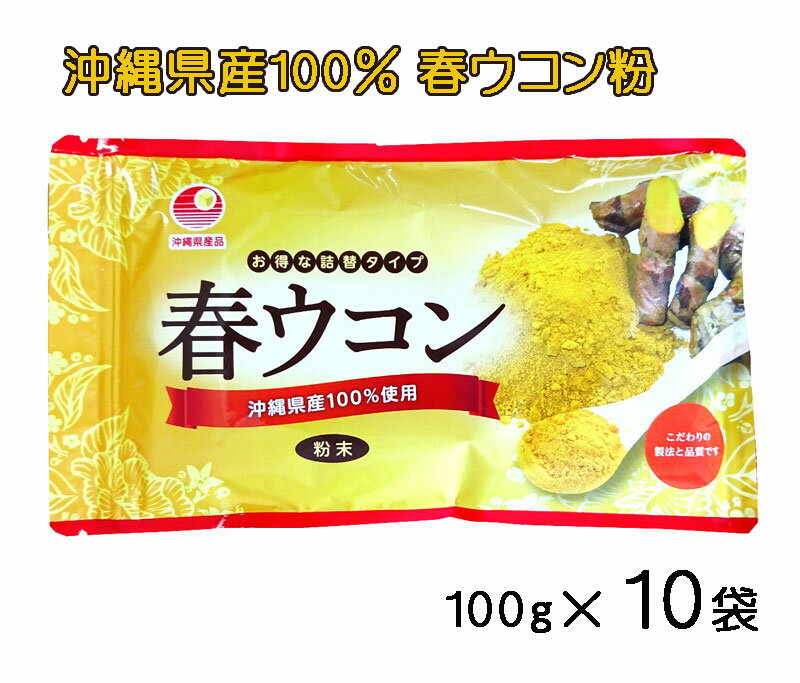 ウコン サプリ 沖縄 春ウコン粉 袋タイプ 100g×10袋セット 粉末 詰替え用 クルクミン 健康食品 沖縄県産 春うこん 送料無料 比嘉製茶