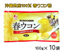 ウコン サプリ 沖縄 春ウコン粉 袋タイプ 100g×10袋セット 粉末 詰替え用 クルクミン 健康食品 沖縄県産 春うこん 送料無料 比嘉製茶