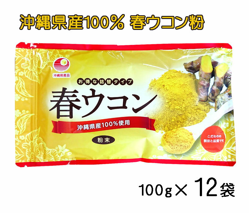 ウコン サプリ 沖縄 春ウコン粉 袋タイプ 100g×12袋セット 粉末 詰替え用 クルクミン 健康食品 沖縄県産 春うこん 送料無料 比嘉製茶