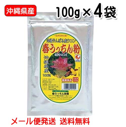 春ウコン粉 沖縄県産 春うっちん粉 100g×4袋 メール便発送 送料無料 うっちん沖縄 うこん 粉 ...