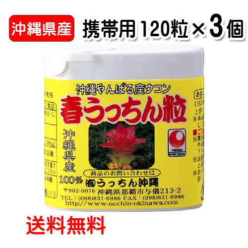 春ウコン粒 沖縄県産 春うっちん粒 携帯用 120粒入り×3個 ウコン うっちん沖縄 メール便発送ポスト投函 送料無料 錠剤 1