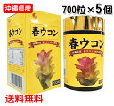 ウコン サプリ 沖縄 春ウコン 700粒×5個セット 錠剤 粒タイプ クルクミン 健康食品 沖縄県産 春うこん 送料無料 比嘉製茶