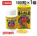 春ウコン粒 沖縄県産 春うっちん粒 1000粒入り×1個 レターパックプラス発送 送料無料 ウコン うっちん沖縄 錠剤