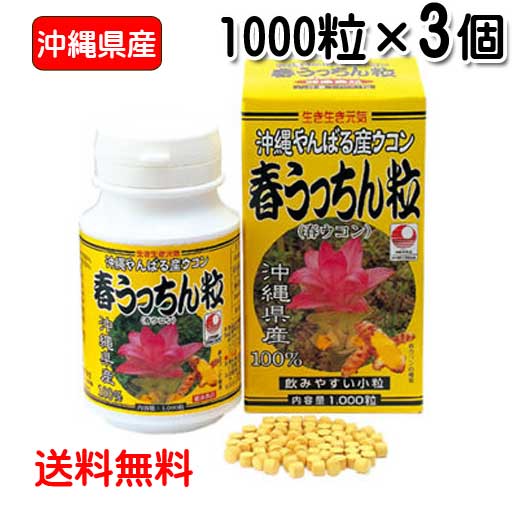 春ウコン粒 沖縄県産 春うっちん粒 1000粒入り×3個 レターパックプラス発送 送料無料 ウコン うっちん沖縄 錠剤