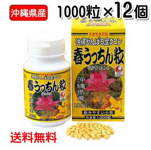 楽天沖縄健康食品Webショップ春ウコン粒 沖縄県産 春うっちん粒 1000粒入り×12個 送料無料 ウコン うっちん沖縄 錠剤