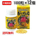 春ウコン粒 沖縄県産 春うっちん粒 1000粒入り×12個 送料無料 ウコン うっちん沖縄 錠剤