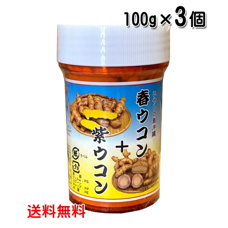 ウコン サプリ 沖縄 春ウコン+紫ウコン粉 100g×3個セット 粉末タイプ 沖縄県産 春ウコン 紫ウコン うこん 送料無料 比嘉製茶