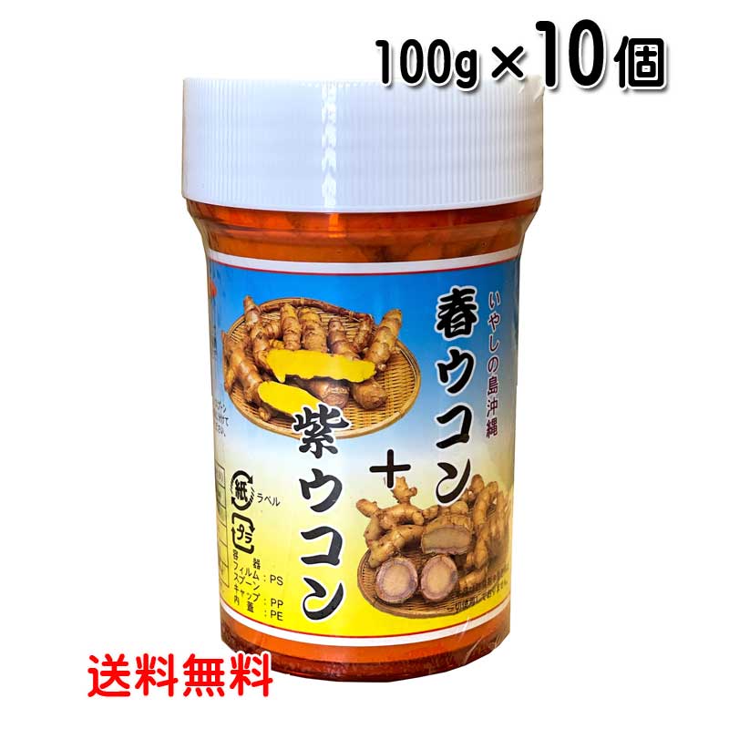 ウコン サプリ 沖縄 春ウコン+紫ウコン粉 100g×10個セット 粉末タイプ 沖縄県産 春ウコン 紫ウコン うこん 送料無料 比嘉製茶