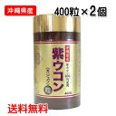 紫ウコン粒　400粒入り×2個　沖縄県産紫ウコン　送料無料　沖縄ウコン販売　レターパックプラス発送