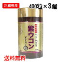 紫ウコン粒 400粒入り×3個 沖縄県産紫ウコン 送料無料 沖縄ウコン販売 レターパックプラス発送