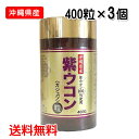 紫ウコン粒　400粒入り×3個　沖縄県産紫ウコン　送料無料　沖縄ウコン販売　レターパックプラス発送