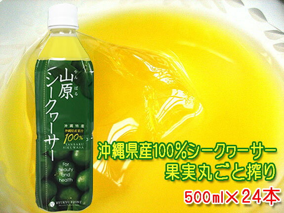 山原シークワーサー 500ml×24本セット 送料無料 沖縄産 シークワーサージュース 果汁100％ 青切り シークワーサー 山原シークヮーサー あおぎり シークヮーサー 原液 ストレート ノビレチン 沖縄県産 やんばる