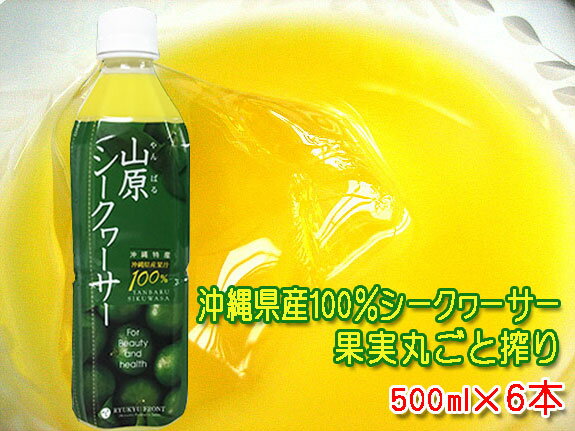 山原シークワーサー 500ml×6本セット 送料無料 沖縄産 シークワーサージュース 果汁100％ 青切り シークワーサー 山原シークヮーサー あおぎり シークヮーサー 原液 ストレート ノビレチン 沖縄県産 やんばる