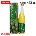 山原シークワーサー 720ml×12本セット 送料無料 沖縄産 シークワーサージュース 果汁100％ 青切り シークワーサー 山原シークヮーサー あおぎり シークヮーサー 原液 ストレート ノビレチン 沖縄県産 やんばる