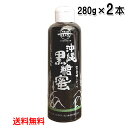 沖縄黒糖蜜 280g×2本セット 加工黒糖シロップ 沖縄県産 さとうきび レターパックプラス発送 送料無料 垣乃花 その1