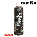 沖縄黒糖蜜 280g×10本セット 加工黒糖シロップ 沖縄県産 さとうきび 送料無料 垣乃花