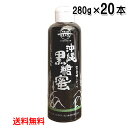 沖縄黒糖蜜 280g×20本セット 加工黒糖シロップ 沖縄県産 さとうきび 送料無料 黒糖本舗垣乃花