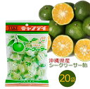 沖縄県産 シークヮーサー飴 120g×20袋 沖縄名産 シークワーサー 個包装 キャンディ 送料無料 竹製菓 沖縄 お土産 人気