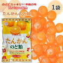 たんかんのど飴 80g×1袋 沖縄名産 タンカン ビタミンC 配合 個包装 フルーツ キャンディ メール便ポスト投函お届け 送料無料 竹製菓 沖縄 お土産 人気