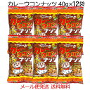 おつまみナッツ カレーウコンナッツ 40g×12袋 サクッとスパイシーカレー味 送料無料 沖縄パイオニアフーズ