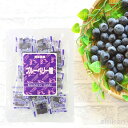 ブルーベリー お菓子 ブルーベリー糖 100g 砂糖菓子 おやつ シェア 沖縄土産 送料無料 琉球黒糖