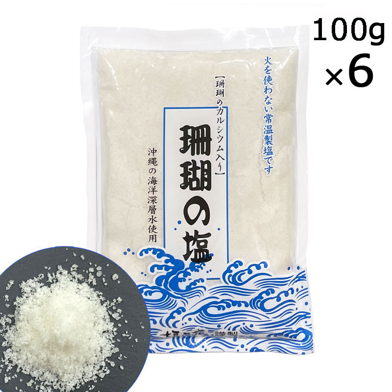 珊瑚の塩 100g×6袋 サンゴカルシウム入り 天日塩 海洋深層水 沖縄 しお 塩 サンゴ 垣乃花