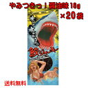 沖縄県産 鮫ジャーキー醤油味 18g×20個 スクワラン本舗 送料無料 サメ 高たんぱく 低カロリー 低脂肪 DHA