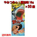 沖縄県産 鮫ジャーキー醤油味 18g×30個 スクワラン本舗 送料無料 サメ 高たんぱく 低カロリー 低脂肪 DHA