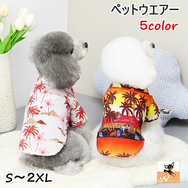 �ڥå��ѥ���� �ڥå��ѥȥåץ� ������ �淿�� ���� �ͥ� ǭ �ɥå������� �ڥåȥ����� ���� �����ϥ���� �����奢�륷��� ������ ���ʥåץܥ��� ����...
