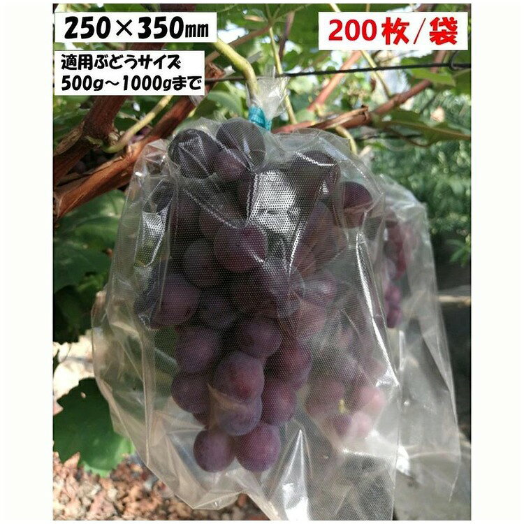 透明微孔フィルム 果実保護袋 200枚果実の状態を外から確認しやすい透明タイプの保護袋です。微孔加工により通気性へ配慮し、ブドウなどの果実を鳥や虫、雨から守る園芸作業をサポートします。商品仕様確認事項承知しました。仕様-※画像と実物では、モニター環境や撮影条件により色味が異なって見える場合があります。