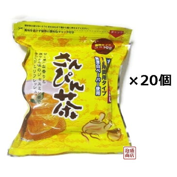 【さんぴん茶】 ティーバッグ ハイサイ 5g×50p 20袋セット（1ケース）お徳用