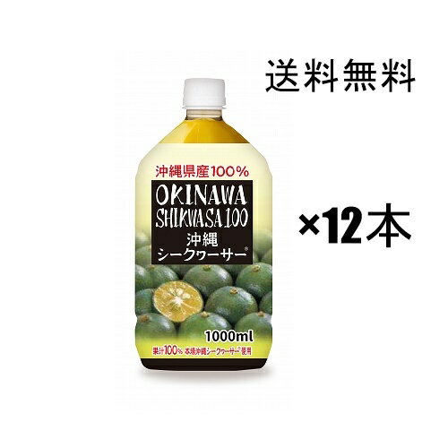 【シークワーサー】シークヮーサー 原液 オキハム お手軽な1Lペット×12本セット（2ケース）　 / 青切り　沖縄県産100％ シークヮーサージュース