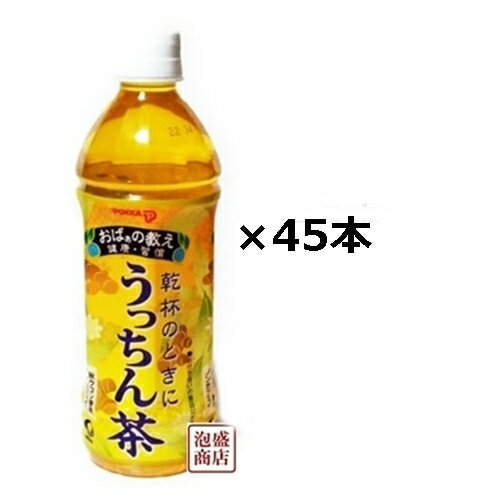 【うこん茶　うっちん茶】沖縄ポッカ 500ml×45本（1ケース+21本）セット