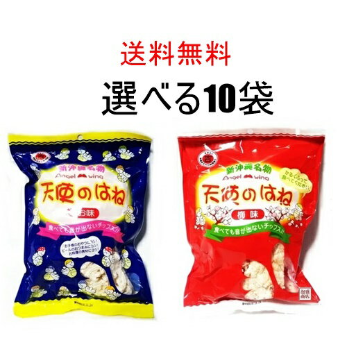 天使のはね 自由に選べる10袋セット / ばらまきお土産 塩味 梅味